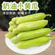 海陽(yáng)白玉黃瓜山東新鮮現摘發(fā)水果小黃瓜農家孕婦生吃青瓜 【新鮮現摘】 3斤