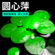 勝畫(huà)浮萍水草古法水培植物凈化水質(zhì)魚(yú)蝦水草龜缸漂浮水草專(zhuān)用造景草 圓心萍5朵 死亡包賠