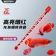boxtech魚缸燈led燈龍魚燈水族箱專用照明燈增艷增色燈金魚燈水草防水燈 T8系列-20W增艷燈92cm燈管