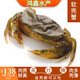鴻鑫水產(chǎn) 軟殼蟹7只凍蟹免剝殼鮮凍螃蟹蒸煮炸炒可做天婦羅蟹凍蟹非活蟹