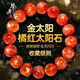 燦典candian收藏級天然金太陽石手鏈金草莓晶手串橙日光石貓眼冰種日光石 金太陽石6mm精選