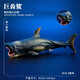 兒童玩具仿真動(dòng)物模型史前時(shí)代深海洋生物遠(yuǎn)古巨獸認(rèn)知魚(yú)擺件手辦 巨齒鯊