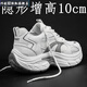 巧佳媞增高鞋男10cm內增高8cm6cm潮鞋子男士百搭網(wǎng)面透氣厚底巴黎老爹鞋 主圖款 39