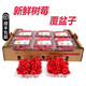 嗯嗯樂【順豐發(fā)貨】樹莓怡顆莓新鮮水果 樹莓 即食酸甜覆盆子鮮果 紅樹莓2盒*110g/盒