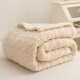 J.H.Longess 家纺 双层羊羔绒毯法兰绒素色柔软舒适盖毯毛毯 DB塔夫毯-米白 150*200cm约2.5斤