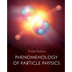 現貨 Phe*me*logy of Particle Physics 粒子物理象學(xué): 9781316519349