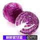 桃李村【順豐】紫甘藍(lán) 新鮮紫包菜紫色球生菜 沙拉生菜 800g