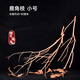 森淵鹿角枝南美造景沉木天然裝飾樹(shù)枝原生缸骨架枯樹(shù)枝枝條插花黃梨枝 【發(fā)3根】小號鹿角枝(長(cháng)20厘米左右)