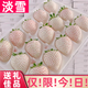 寒與會(huì)淡雪草莓白粉色草莓日本引進(jìn)品種新鮮水果送女友禮品春節(jié)年貨水果 2盒500g禮盒裝 白色淡雪丨更香甜丨中秋補(bǔ)貼款