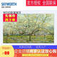 創(chuàng)維（Skyworth）W55D   55英寸網(wǎng)絡(luò)WiFi智能AI語音4K超高清液晶LED壁紙電視機(jī) 55英寸 W55D