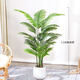 瑯闕仿真植物散尾葵北歐風(fēng)裝飾客廳落地大型盆栽室內盆景擺件樹(shù)假綠植 1.6米散尾葵 帶白色花盆