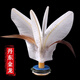 毽子 丹東金龍毽子運動(dòng)比賽專(zhuān)用健身兒童小學(xué)生幼兒園耐踢雞毛毽球 中號平底(5個(gè))