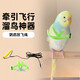 星恒夢(mèng)鸚鵡飛行背帶繩超輕放飛牽引繩牡丹玄風(fēng)小太陽(yáng)遛鳥(niǎo)繩鸚鵡放飛繩 【隨機色】寬0.8cm長(cháng)2m