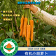 有機小胡蘿卜有機認證現(xiàn)摘現(xiàn)發(fā)口感好無農(nóng)殘可生食發(fā)順豐包郵現(xiàn)摘 3斤有機小胡蘿卜