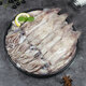 富海錦鮮凍筆管魷魚1斤魷魚 海兔子 墨斗魚 火鍋燒烤食材海鮮水產(chǎn)