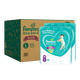 幫寶適（Pampers）超薄干爽拉拉褲嬰兒尿不濕學(xué)步褲 綠幫成長(cháng)褲小內褲男女寶寶 大碼L172片【9-14kg】