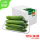 京鮮生綠行者（GREER）水果黃瓜5斤單果80g+時(shí)令生鮮蔬菜源頭直發(fā)
