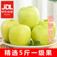 果優(yōu)港陜西白水瑞雪蘋(píng)果正宗脆香甜2025當季新鮮青蘋(píng)果精品水果禮盒整箱 精選4.5斤瑞雪 70mm左右 約13-16個(gè)
