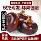 （順豐鎖鮮-可送到家）廣西桂林荔浦新鮮特大馬蹄 農(nóng)家現(xiàn)挖自種荸薺脆甜多汁火鍋材料新鮮蔬菜 特大果 5斤