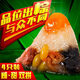 老潮興潮汕粽子現(xiàn)包食品蛋黃咸甜雙拼肉粽廣東特產(chǎn)小吃粽球飯團(tuán) 雙拼粽（4個(gè)/520g）