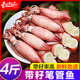 東上御品 海兔 筆管魚(yú) 滿(mǎn)籽海兔子帶籽≥99% 烏青島海鮮火鍋燒烤食材 生凍筆管魚(yú) 4斤(凈重)