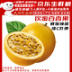 騎猴趕馬黃金百香果【當(dāng)天采摘】欽蜜9號(hào)黃金百香果水果純甜百香果水果 【凈重1斤丨單果45-60g】 【越大越香甜】