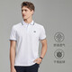 金利來(lái)GY男士冰感polo衫夏季珠地棉翻領(lǐng)短袖t恤TSF0419-LA125  白色 1XL