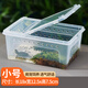 龜真壽 爬寵飼養(yǎng)盒 小號(hào)  角蛙蜈蚣蝎子蜘蛛飼養(yǎng)盒寵物蛇飼養(yǎng)箱烏龜蝸牛