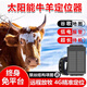 聚車寶牛羊馬gps定位器動物養(yǎng)殖牲畜項圈跟蹤器超長待機防丟防水追蹤儀 2萬毫安+4G防水防凍+終身免費