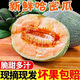 正宗海南吐魯番火焰山哈密瓜5/9斤西州蜜25號當(dāng)季新鮮水果網(wǎng)紋瓜R 3斤（1-2個(gè)）凈重2.5-3斤