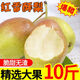 柏饞【脆香甜】現(xiàn)摘現(xiàn)發(fā)新鮮紅香酥梨新鮮水果 新鮮脆甜香梨當(dāng)季新果 9斤 【家庭裝】