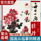 每日一畫 牡丹 中國畫技法國畫入門基礎(chǔ)教程書寫意水墨畫花鳥冊頁 工筆畫花卉技法畫法大全集教材 國畫初學(xué)者畫花卉蔬果技巧書籍 閱讀狂歡節(jié)