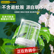 睿量REMAX 電熱蚊香液德國健康無色無煙無灰【蚊香液】 單瓶替換裝