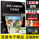 奈特人體解剖學(xué)彩色圖譜 第8八版 解刨學(xué)書(shū)籍臨床醫學(xué)教材圖書(shū)中英雙語(yǔ)解破學(xué)普外全彩涂色格氏耐特人衛圖鑒系統局部神經(jīng)基礎法醫