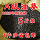 生黑珍珠小瓜子葵花子油葵籽 鸚鵡鳥(niǎo)食倉(cāng)鼠零食鳥(niǎo)糧鴿糧5斤