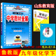 2025年春薛金星中學(xué)教材全解 9九年級化學(xué)下冊 山東教育版 魯教版初三9九下化學(xué)全解同步練習(xí)學(xué)習(xí)工具書中學(xué)教材完全解讀 金星教育