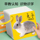 奕思瑞早教書(shū)彩色卡嬰兒童認知卡片0-1-3歲動(dòng)物識數字看圖識物寶寶玩具 【6盒】全方位早教（540種圖案）