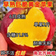 子暄嫁接蘋(píng)果樹(shù)苗新品種特大早熟黃金蘋(píng)果樹(shù)苗耐寒水果苗種植當年結果 早熟巨脆黃金蘋(píng)果苗丨送種植技術(shù) 丨【五年苗】丨中量結果
