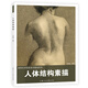 高等藝術(shù)院校美術(shù)基礎系列——人體結構素描