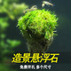 懸浮石魚缸石頭造景裝飾水族草缸水景真水草莫斯天然浮石魚缸擺件 6-9cm懸浮石5個(gè)(粘好莫斯)