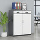 洛克菲勒 辦公室文件柜鐵皮柜資料檔案柜玻璃儲物柜財務(wù)憑證柜帶鎖矮柜子 灰套白*1090高二斗矮柜 0.8mm