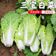 密水農(nóng)家新鮮自種三寶白菜 500g 新鮮時(shí)令蔬菜 小顆白菜 綠葉類蔬菜