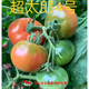 北番水果番茄種子 草莓番茄 酸甜可口 風(fēng)味濃郁 口感好 超太郎4號番茄種子 100粒
