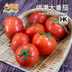 東昇供港大番茄500g 西紅柿 酸甜多汁火鍋食材 廣州蔬菜新鮮配送