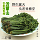 菜顯顯香椿芽咸菜山東特產(chǎn)2024新鮮腌制香椿頭下飯菜醬菜頭茬香椿 頭茬香椿3斤【3袋】