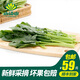 小湯山 菠菜 約280g 新鮮蔬菜基地種植當(dāng)天采摘