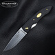 FALLKNIVEN QUALITY KNIVES瑞典falkniven?？四嵛腇K進(jìn)口隨身高硬度日常便攜戶外防銹折疊刀 PCx.