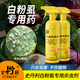 史丹利白粉虱專用殺蟲(chóng)劑花上的特效花卉植物白蟲(chóng)子紅蜘蛛花草藥除通用藥 500ml 【試用裝 | 貴在運(yùn)費(fèi)】