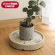 恰好時(shí)光網(wǎng)紅潮汐花盆抽屜儲水托盤(pán)萬(wàn)向滑輪綠植盆景花盆底座29.5cm 米色