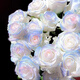玫瑰花種子四季種植耐寒循環(huán)開花易活花籽室內(nèi)外盆栽花卉花種籽孑 歐若拉玫瑰種子 200粒成活率高*贈肥料